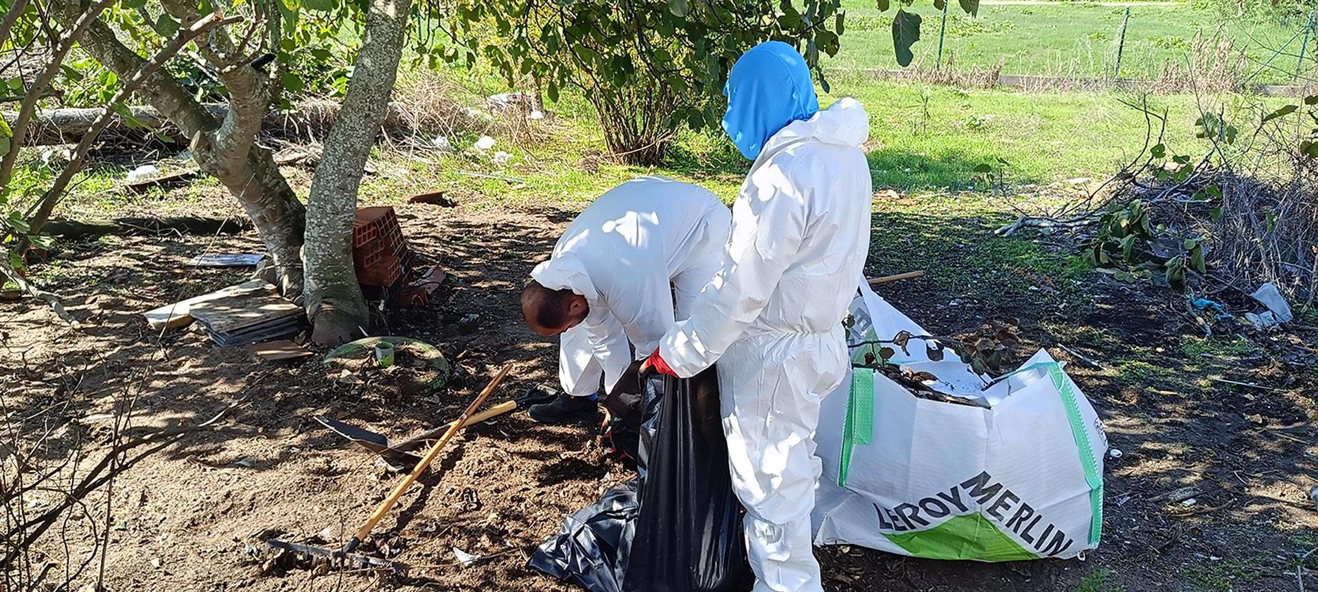 recolha-de-monos-em-lisboa-ts-clean